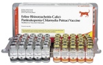 ФЕЛОЦЕЛ 4 (FELOCELL 4) Вакцина для кошек, 2 фл.=1 доза Zoetis - фото