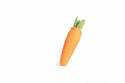 CAMON Морковь из люфы для маленьких питомцев (15 см) - фото