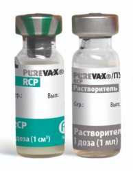 ПЮРВАКС RCP (Purevax RCP) Вaкцинa для кошек, 2 фл.= 1 доза Merial - Boehringer - фото