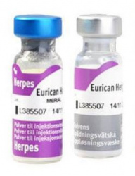 ЭУРИКАН Герпес (EURICAN HERPES) Вакцина для собак, 2 фл.=1 доза Merial - Boehringer - фото