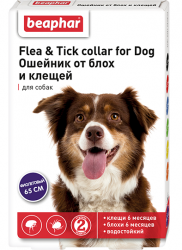BEAPHAR Ошейник (Диазинон) от блох и клещей для собак (фиолетовый, 65 см) - фото