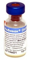 НОБИВАК DHPPi (NOBIVAC DHPPi) Вакцина для собак, 1 фл.=1 доза  MSD - фото