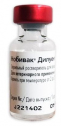 НОБИВАК ДИЛУЕНТ (NOBIVAC DILUENT) Растворитель для вакцин, 1 фл.  MSD - фото