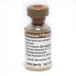 НОБИВАК ПАППИ DP (NOBIVAC PUPPY DP) Вакцина для щенков, 1 фл.=1 доза MSD - фото