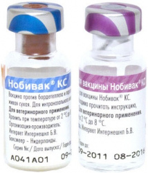 НОБИВАК KC (NOBIVAC KC) Вакцина для собак, 2 фл.=1 доза MSD - фото