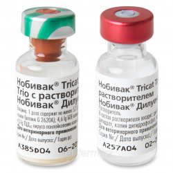 НОБИВАК ТРИКЭТ ТРИО (NOBIVAC TRICAT TRIO) Вакцина для кошек, 2 фл.=1 доза + растворитель MSD - фото