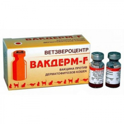 ВАКДЕРМ F Вакцина для кошек, 1 фл.=1 доза Ветзвероцентр - фото