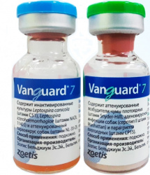 ВАНГАРД 7 (VANGUARD 7) Вакцина для собак, 2 фл.=1 доза Zoetis - фото