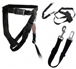 TRIXIE Safety Belt for Dogs Ремни безопасности для собак, шлейка + ремень (размер S) - фото