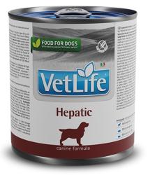 VET LIFE Dog Hepatic (баночка 300 г) - фото