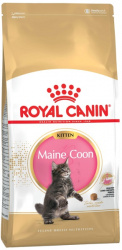 ROYAL CANIN Kitten Maine Coon 36 (400 г) для котят породы мэйн кун - фото