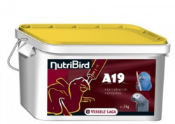 VERSELE-LAGA NUTRIBIRD A19 (3 кг) Корм для ручного выкармливания птенцов крупных попугаев - фото